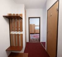 NA PREDAJ 1-IZBOVÝ BYT V PÔVODNOM STAVE – DÚBRAVKA, SARATOVSKÁ ULICA - Chodba 1-izbového bytu so vešiakovou stenou a pohľadom do izby s kobercom.