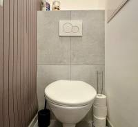 – PRENAJOM – 2 IZBOVÝ BYT 52 m² – OSTREDKOVA – RUŽINOV  - Toaleta v 2-izbovom byte s obkladom v drevenom dekore a úložným priestorom.