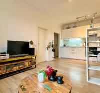 – PRENAJOM – 2 IZBOVÝ BYT 52 m² – OSTREDKOVA – RUŽINOV  - Obývačka v 2-izbovom byte s podlahou s dreveným dekorom, vkusne zariadená a útulná.