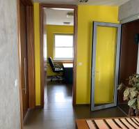 Predaj modernej administratívnej budovy v Bratislave, okres II - V kancelárii prevládajú žlté steny a drevené dvere, čo pôsobí útulne.