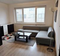 Prenajaté - 2.izbový byt s parkovaním v obci Hviezdoslavov - Obývacia izba s pohovkou, stolíkom a podlahou s dreveným dekorom v 1-izbovom byte.