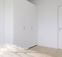 PREDANÉ - 4 izbový byt s loggiou v Petržalke - Spálňa s bielou skriňou, zelenou stenou a rastlinami v 3-izbovom byte.