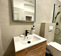 Prenájom priestranného 2-izbového bytu v absolútnom centre Košíc - Kúpeľňa v 2-izbovom byte s umývadlom, zrkadlom a sprchovacím kútom.