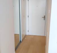 JEDINEČNÝ 2i byt, NOVOSTAVBA, KLÍMA, VÝHĽAD, PARKING, SKY PARK - Vstupná hala 2-izbového bytu s podlahou s dreveným dekorom a vstavanou skriňou.