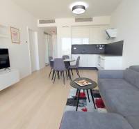 JEDINEČNÝ 2i byt, NOVOSTAVBA, KLÍMA, VÝHĽAD, PARKING, SKY PARK - Obývacia izba s kuchynským kútom, sivou sedačkou, televízorom a podlahou s dreveným dekorom.