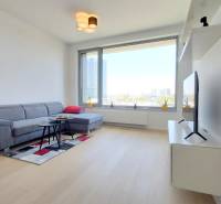 JEDINEČNÝ 2i byt, NOVOSTAVBA, KLÍMA, VÝHĽAD, PARKING, SKY PARK - Obývacia izba v 2-izbovom byte s pohovkou, televízorom a výhľadom z veľkého okna.