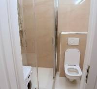 Pekný 2i byt, REKONŠTRUKCIA, CENTRUM, Bukureštská ulica, Staré Mesto - Kúpeľňa v 2-izbovom byte, sprchový kút, toaleta, umývačka, na ulici Bukurešťská.