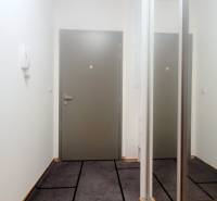 MODERNÝ 3i byt, CUBICON GARDENS, BALKÓN, PARKING, Rudolfa Mocka - Chodba v 3-izbovom byte s dvoma vstupnými dverami a tmavým kobercom.