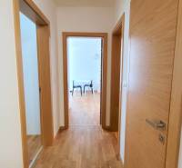 MODERNÝ 3i byt, CUBICON GARDENS, BALKÓN, PARKING, Rudolfa Mocka - Chodba v 3-izbovom byte s podlahou s dreveným dekorom a drevenými dverami.