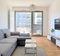 MODERNÝ 3i byt, CUBICON GARDENS, BALKÓN, PARKING, Rudolfa Mocka - Obývačka v 3-izbovom byte s pohovkou, podlahou s dreveným dekorom a terasou.