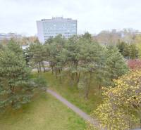 Pekný 3i byt, 3 x NEPRIECH.IZBA, BALKÓN, Radarová ulica, Ostredky - Stromy a chodník s budovou v diaľke na Radarovej ulici v Bratislave - Ružinove.