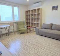 MODERNÝ 2i byt, REKONŠTRUKCIA, KLÍMA, MOZARTOVA ulica, Horský park - Obývacia izba v 2-izbovom byte s podlahou s dreveným dekorom a pohodlnou sedačkou.