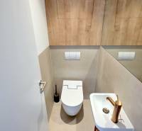 LUXUSNÝ 3i byt,PARKING,CHLADENIE,TERASA,Grand Koliba, Frankovská ulica - Toaleta s umývadlom v 3-izbovom byte, drevené obklady a zlaté vodovodné batérie.