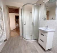 Na prenájom 3i byt v rodinom dome so záhradou - Vojenská ul. Rovinka - Mačiatko v kúpeľni 3-izbového bytu, ulica Vojenská, so sprchovacím kútom a úložným priestorom.