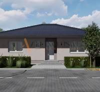 POSLEDNÁ NOVOSTAVBA - HOLODOM | PRÁZNOVCE - Rodinný dom v PRÁZNOVCIACH, Topoľčany, s úhľadnou fasádou a záhradou pred vstupom.