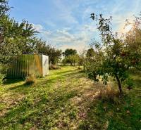 POZEMKY - ZÁHRADY OD 12.780€ | BLESOVCE  - Záhrada v Blesovciach na ulici blesovce určená pre Pozemky - bývanie s ovocnými stromami.