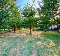 POZEMKY - ZÁHRADY OD 12.780€ | BLESOVCE  - Stromy v záhrade na pozemku v Blesovciach na ulici blesovce vhodné na bývanie.