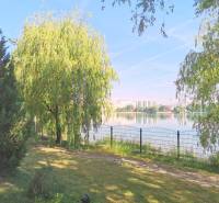 PEKNÁ GARSÓNKA, NOVOSTAVBA, KLÍMA, DRAŽDIAK HAUS, Antolská ulica - Záhrada pri jazere v Bratislave-Petržalke na Antolskej ulici, s vŕbami a plotom.