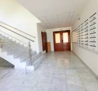 PEKNÁ GARSÓNKA, NOVOSTAVBA, KLÍMA, DRAŽDIAK HAUS, Antolská ulica - Schodisko s oceľovým zábradlím a poštové schránky v budove Garsónky.