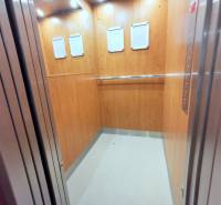 PEKNÁ GARSÓNKA, NOVOSTAVBA, KLÍMA, DRAŽDIAK HAUS, Antolská ulica - Interiér výťahu s dreveným dekorom a kovovým zábradlím.