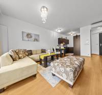 KRÁSNY 2i byt, KLÍMA, LOGGIA,VÝHĽAD,PANORAMA CITY, Landererova ulica - Obývačka s rohovou sedačkou, stolíkom a podlahou s dreveným dekorom v 2-izbovom byte.