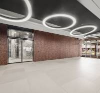 KRÁSNY 2i byt, KLÍMA, LOGGIA,VÝHĽAD,PANORAMA CITY, Landererova ulica - Vstupná hala v 2-izbovom byte s moderným osvetlením a perforovaným dizajnom na stene.