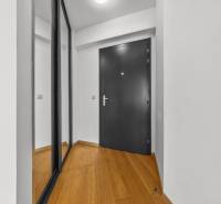 KRÁSNY 2i byt, KLÍMA, LOGGIA,VÝHĽAD,PANORAMA CITY, Landererova ulica - Predsieň v 2-izbovom byte s podlahou s dreveným dekorom a veľkým zrkadlom.