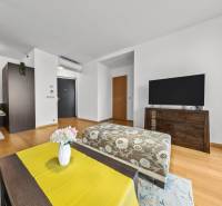 KRÁSNY 2i byt, KLÍMA, LOGGIA,VÝHĽAD,PANORAMA CITY, Landererova ulica - Obývacia izba s podlahou s dreveným dekorom v 2-izbovom byte, televízorom a elegantným nábytkom.