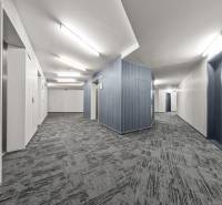 KRÁSNY 2i byt, KLÍMA, LOGGIA,VÝHĽAD,PANORAMA CITY, Landererova ulica - Chodba s výťahmi, svetlými stenami a šedým kobercom v Bratislave na Landererovej.