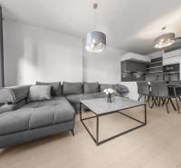 ŠTÝLOVÝ 2i byt,SKY PARK,VÝHĽAD,LOGGIA,PARKING,VEŽA II,Továrenská ul. - Obývačka v 2-izbovom byte s veľkou šedou sedačkou a kuchyňou, podlaha s dreveným dekorom.