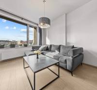 ŠTÝLOVÝ 2i byt,SKY PARK,VÝHĽAD,LOGGIA,PARKING,VEŽA II,Továrenská ul. - Obývacia izba s veľkým oknom, sivou sedačkou a podlahou s dreveným dekorom v 2-izbovom byte.