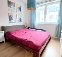 LUXUSNÝ 3i byt, TERASA, PARKING, KLÍMA, ZELENÁ HORKA, Ďumbierska ulica - Spálňa v 2-izbovom byte s ružovou posteľou, lampou a podlahou s dreveným dekorom.