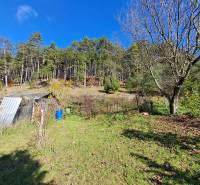 Šikovná drevenica pod lesom Slovenské Pravno  - Záhrada pri rodinnom dome v Slovenskom Pravne s vejárom stromov a kôlničkou.