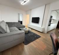 3 izbový byt s balkónom Topoľčany / PRENAJOM  - Obývačka so sivou sedačkou, televízorom a podlahou s dreveným dekorom v 3-izbovom byte.