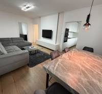 3 izbový byt s balkónom Topoľčany / PRENAJOM  - Obývacia izba so šedou sedacou súpravou a podlahou s dreveným dekorom v 3-izbovom byte.