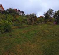 Pozemok na výstavbu rodinného domu, Narcisova ul., Nitra - Zobor - Záhrada na predaj v Nitre na Narcisovej ulici, Pozemky - bývanie, s viničom.