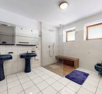 Na predaj Rodinný dom -rezort - Banská Bystrica 4500m2 - Kúpeľňa v rodinnom dome s dvomi umývadlami, sprchovým kútom a fialovým kobercom.