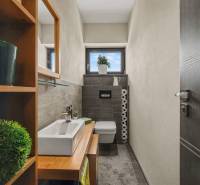 Ideálny dom pre rodinu, Blatné, okr. Senec - Kúpeľňa v rodinnom dome s keramickým umývadlom, drevodekor, polica a rastliny.