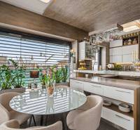 Ideálny dom pre rodinu, Blatné, okr. Senec - Jedálenský kút v rodinnom dome s preskleným stolom, rastlinami a kuchynským príslušenstvom.