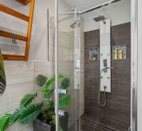 Ideálny dom pre rodinu, Blatné, okr. Senec - Sprchovací kút s dekoratívnymi kachličkami a zelenými rastlinami v rodinnom dome.