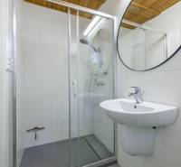 – EXKLUZÍVNE – NA PRENAJOM – DOM – MEDZIERKA – STARÉ MESTO - Kúpeľňa s umývadlom, zrkadlom a sprchovým kútom v rodinnom dome.