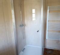 Na predaj záhradná chatka - Sprchový kút s presklenými dverami a rebríkovým radiátorom v chate na podlahe s dreveným dekorom.