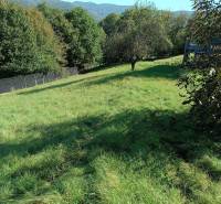 Na predaj záhradná chatka - Zeleň a stromy pri chate na ulici Na Gremenici v Žarnovici.