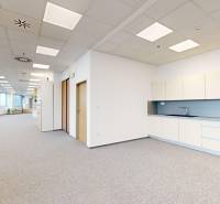 Prenájom kancelárií v biznis centre Lakeside Park, Nové Mesto - Otvorený kancelársky priestor s kuchynským kútom a oknami, koberec, kancelárie.