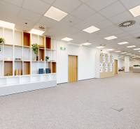 Prenájom kancelárií v biznis centre Lakeside Park, Nové Mesto - Priestranné kancelárie s nábytkom z drevodekoru, množstvom úložného priestoru a rastlín.