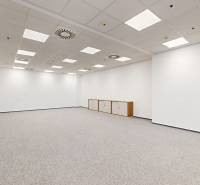 Prenájom kancelárií v biznis centre Lakeside Park, Nové Mesto - Priestranné kancelárie s bielymi stenami, podlahou s dreveným dekorom a úložnými skrinkami.