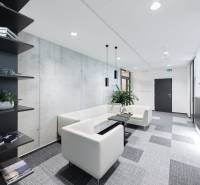 Prenájom kancelárií v biznis centre Lakeside Park, Nové Mesto - Svetlé kancelárie s pohovkami, stenovými dekoráciami a regálmi plnými kníh a trofejí.