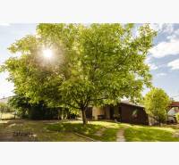 Dvojgeneračný rodinný dom s potenciálom | 2 bytové jednotky, TV - Záhrada pri rodinnom dome na SNP ulici v Trebišove, s veľkým stromom a trávnikom.