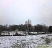 27130m2 samota obklopená lesom - Šalov, okres Levice - Zasnežená záhrada pri chate v Šalove s kríkmi a stromami počas sneženia.