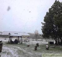 27130m2 samota obklopená lesom - Šalov, okres Levice - Zimná atmosféra v Šalove s vidieckou chatou a snehom pokrytým areálom.